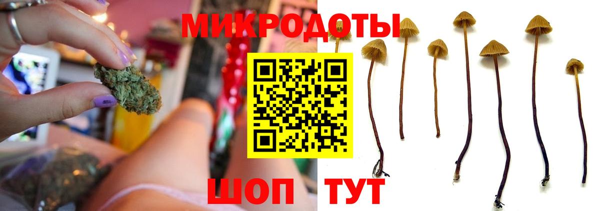 Калач-на-Дону  наркота  Вход с VPN  Галлюциногенные грибы GOLDEN TEACHER 